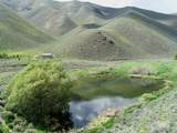 TBD Slaughterhouse Creek - Photo 20