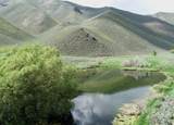 TBD Slaughterhouse Creek - Photo 21