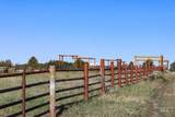 1780 Sadorus Hill Road - Photo 13