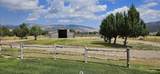 2318 Elba Almo Rd - Photo 5