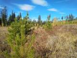 TBD French Gulch Rd Parcel 2 & 3 - Photo 7