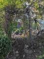 3783 Mill Rd - Photo 18