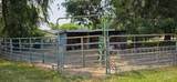 15831 Richway Dr - Photo 17