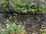 4482 Council Cuprum Rd - Photo 4