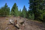 47 Coit Dr - Photo 13