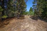 47 Coit Dr - Photo 15