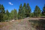 47 Coit Dr - Photo 8