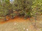TBD Lot 27 Price Loop - Photo 12