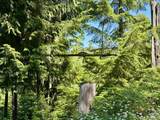 1522 Alpine Dr - Photo 39