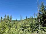 1522 Alpine Dr - Photo 40