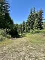 1522 Alpine Dr - Photo 41