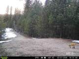 201 ac TBD Smith Ferry Dr - Photo 10