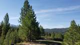 201 ac TBD Smith Ferry Dr - Photo 12