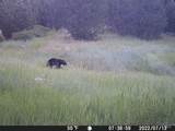 201 ac TBD Smith Ferry Dr - Photo 13
