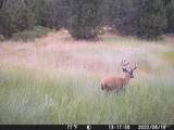 201 ac TBD Smith Ferry Dr - Photo 15