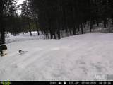 201 ac TBD Smith Ferry Dr - Photo 17