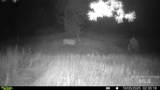 201 ac TBD Smith Ferry Dr - Photo 20