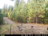 201 ac TBD Smith Ferry Dr - Photo 24
