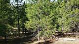 201 ac TBD Smith Ferry Dr - Photo 46