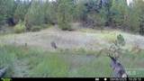 201 ac TBD Smith Ferry Dr - Photo 5