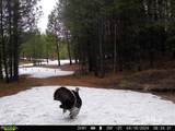 201 ac TBD Smith Ferry Dr - Photo 6