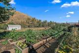 6856 Highway 55 - Photo 43