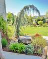 2303 Commander Ln - Photo 38