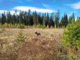 TBD French Gulch Rd Parcel 2 & 3 - Photo 12