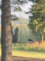 136 Paradise Lane - Photo 9