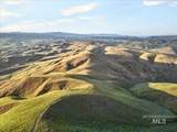 1854 Farnam Ln - Photo 26