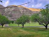 16186 Snake River Road - Photo 4