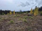 TBD French Gulch Rd Parcel 2 & 3 - Photo 15