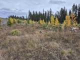 TBD French Gulch Rd Parcel 2 & 3 - Photo 16
