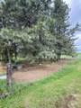 210 & 421 Merrill Avenue - Photo 38
