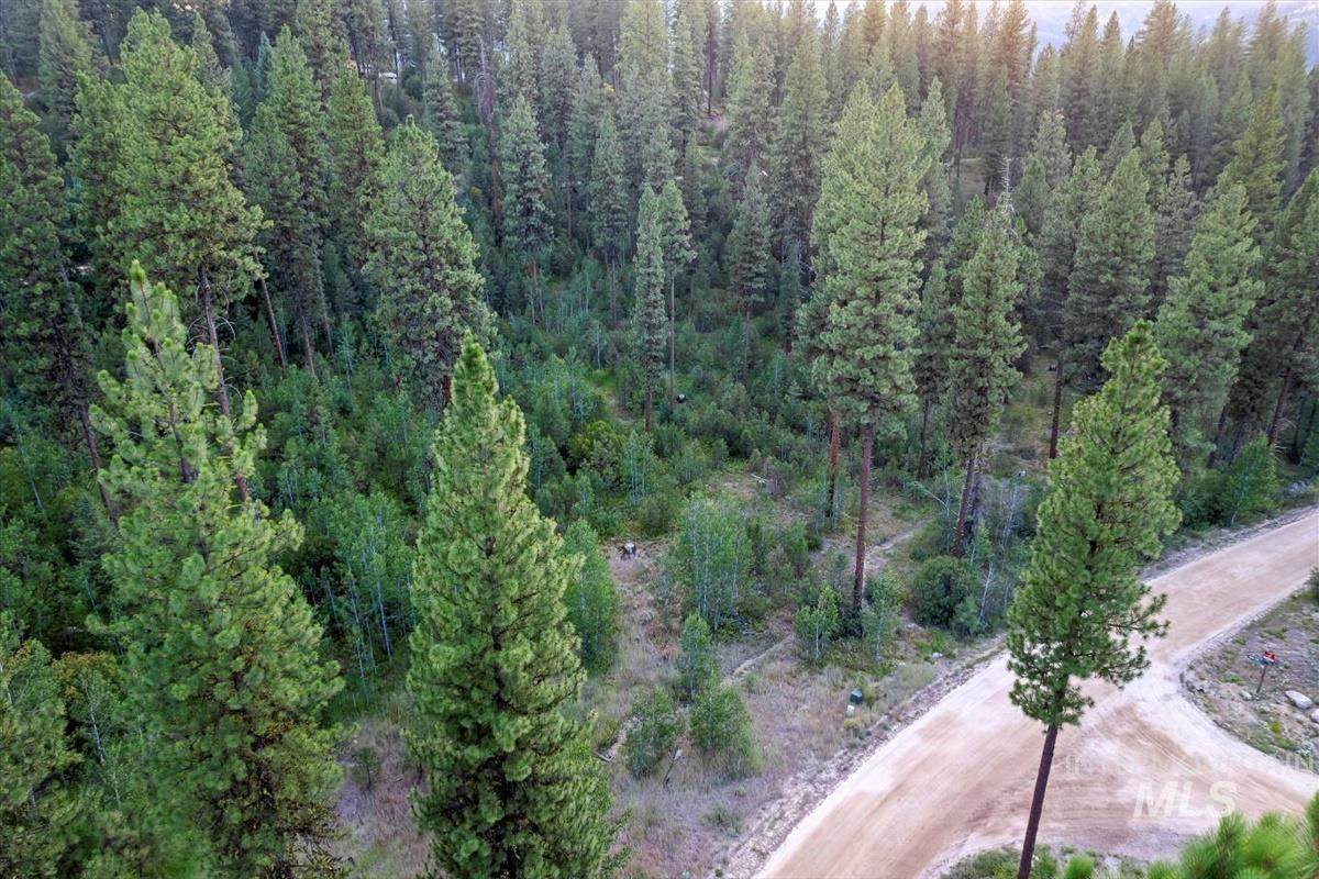 Lot 12 Shaw Gulch Road - Photo 1