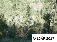 Blk 1 Lot 4 Red Bird Drive - Photo 1