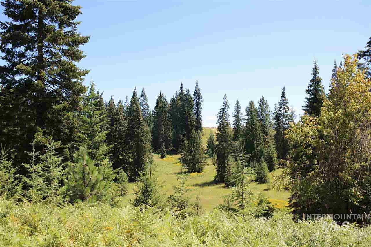TBD Glenwood Road - Photo 1