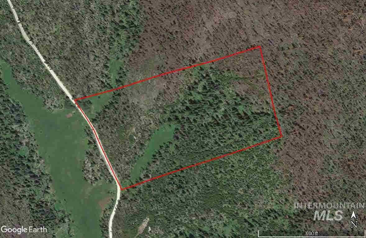 TBD Big Mallard Creek Road - Photo 1
