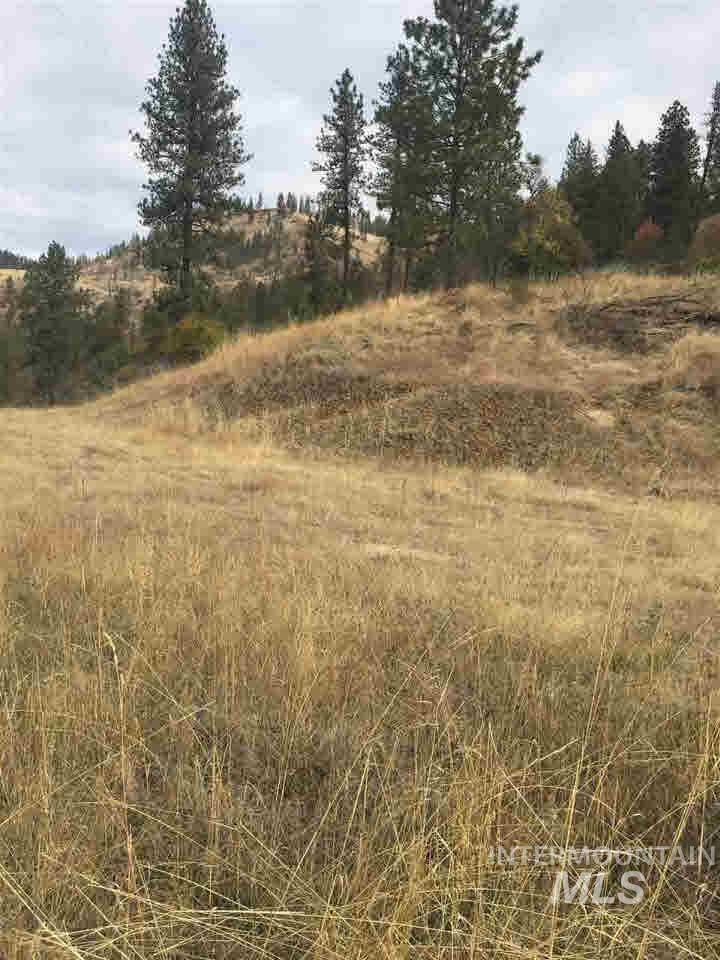 TBD Larradon Heights - Photo 1