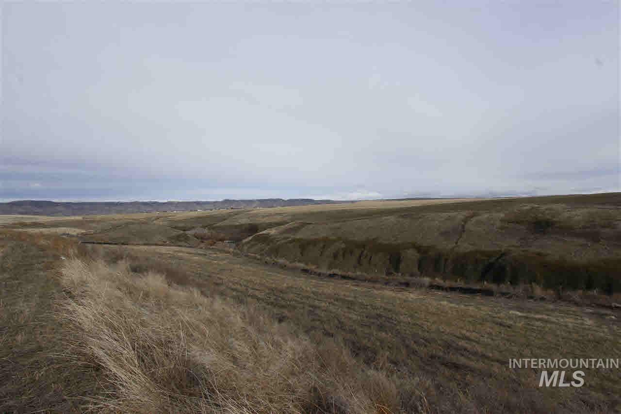 3219 Hidden Valley Loop - Photo 1