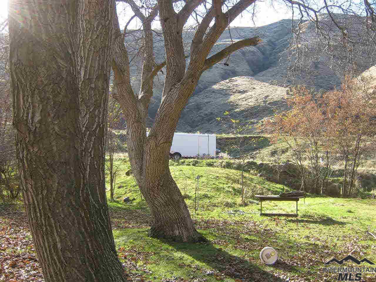 699 Old Pollock Road - Photo 1