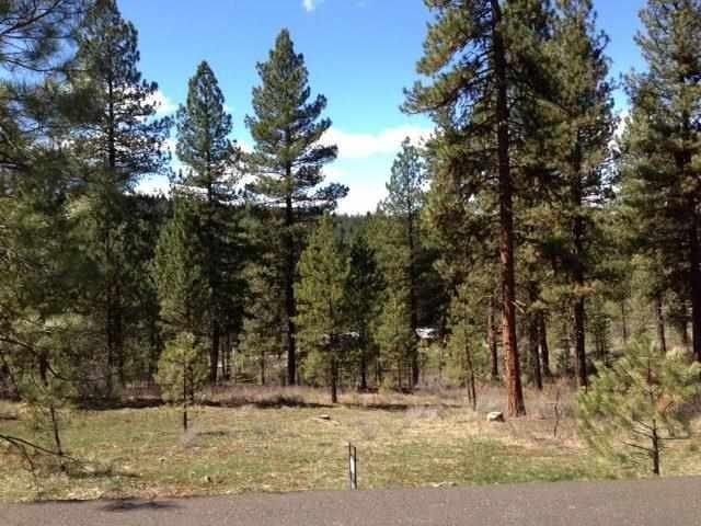 3917 Yarrow Drive - Photo 1