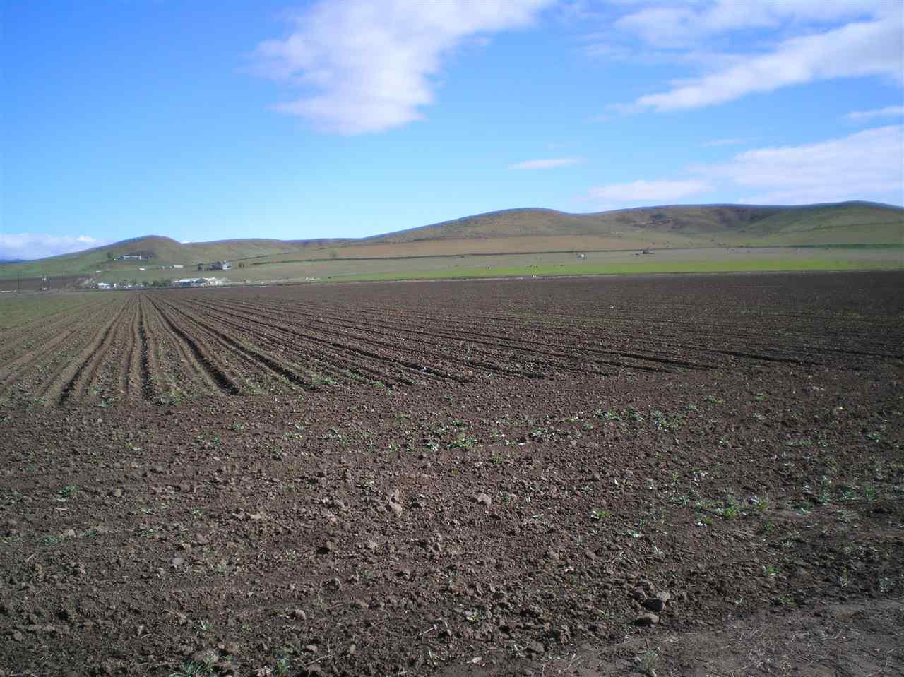 TBD Indianhead Road - Photo 1