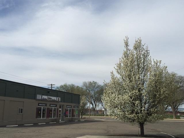 601 Main St - Photo 1