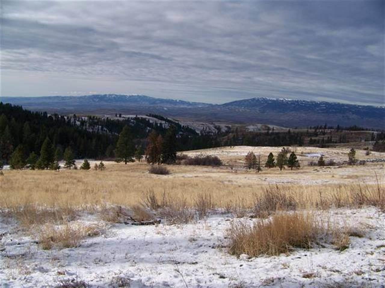 40 Little Fall Creek - Photo 1