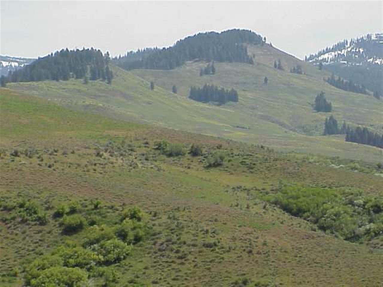 TBD Middle Fork - Photo 1