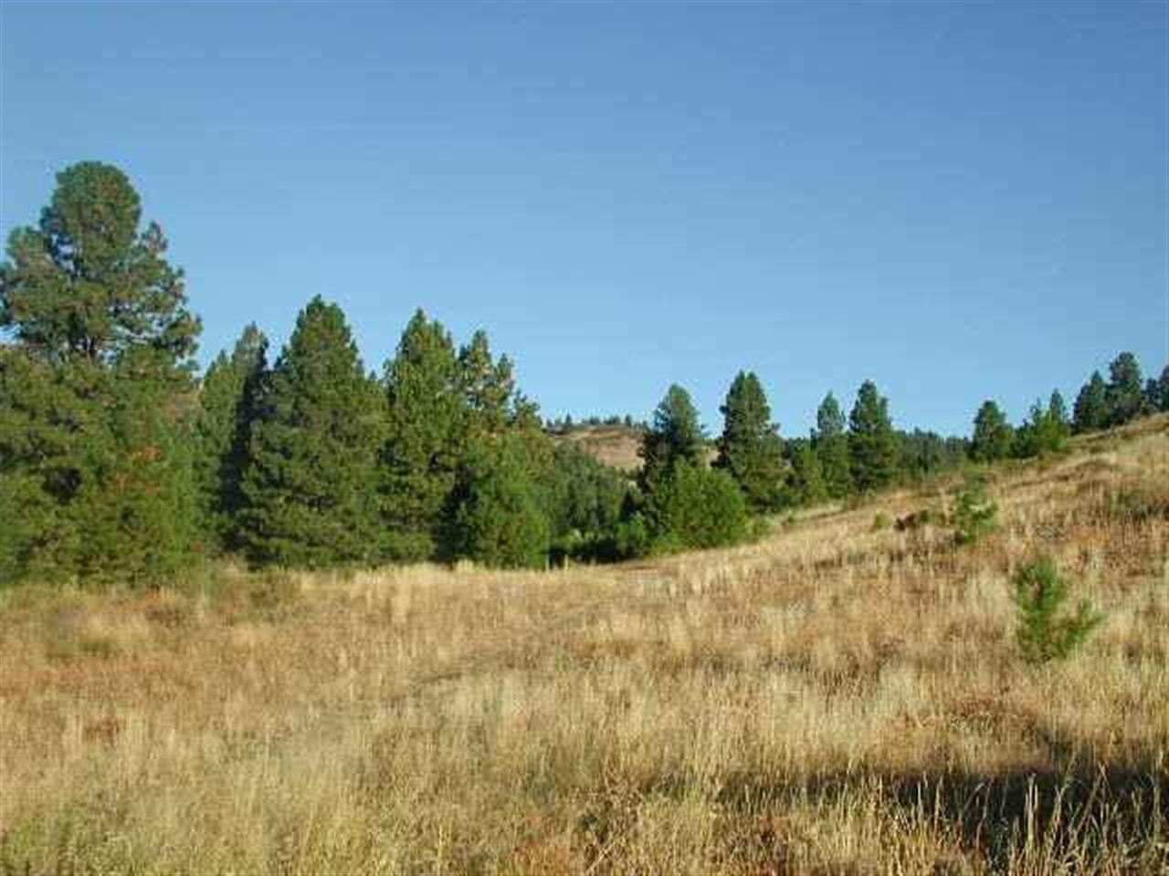 Lot 110 Gold Fork Ridge Road - Photo 1