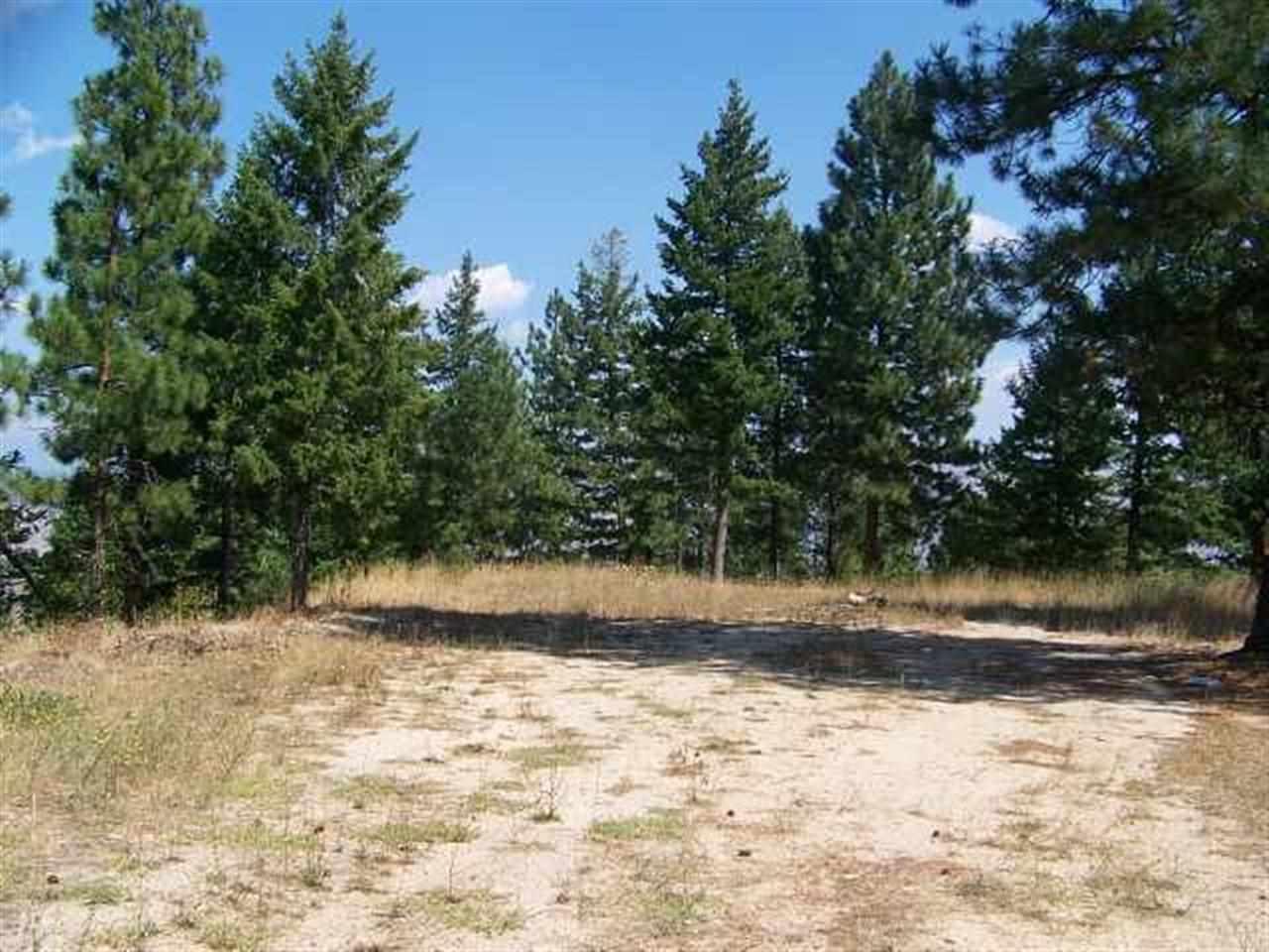 Lot 4 Wilderness Ridge - Photo 1