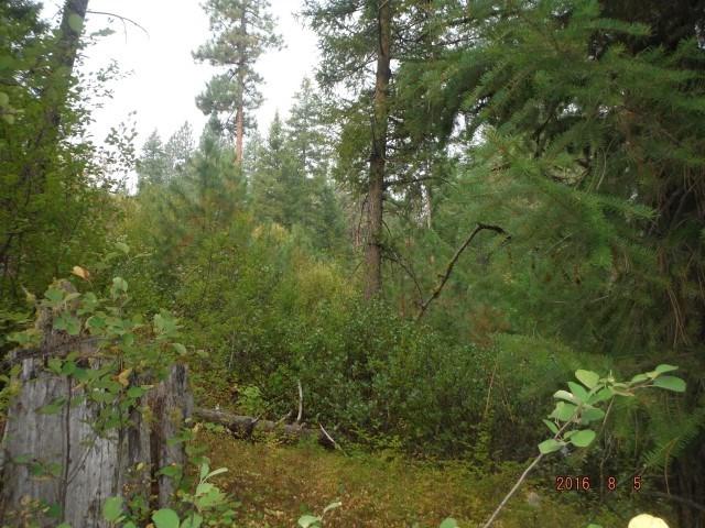 Lot 12 Payette River Ranchettes # 2 - Photo 1