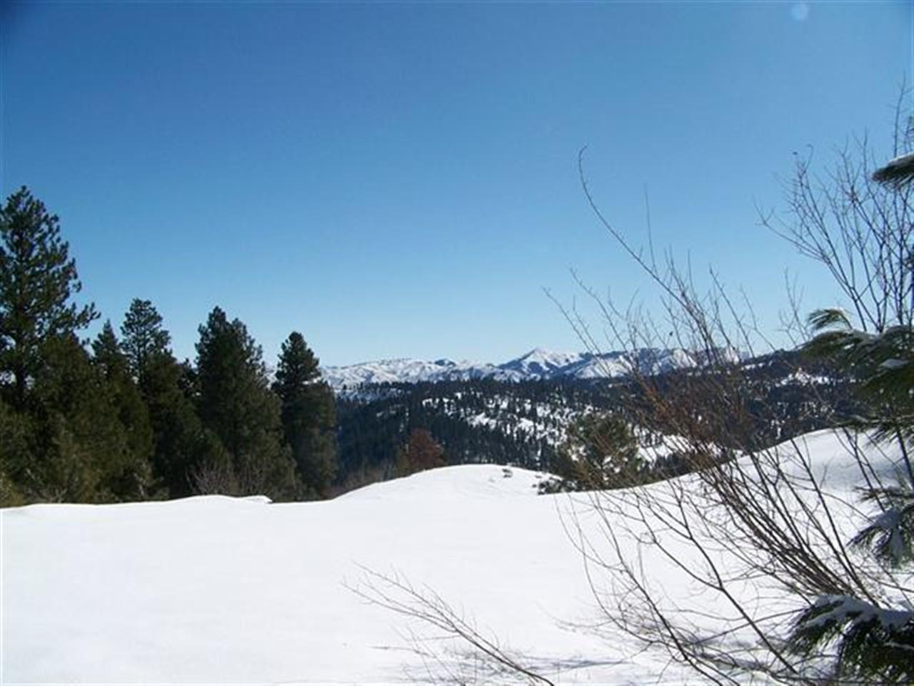 Lot 77 Boise Holcomb #3 - Photo 1
